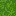 Grass texture, version 1