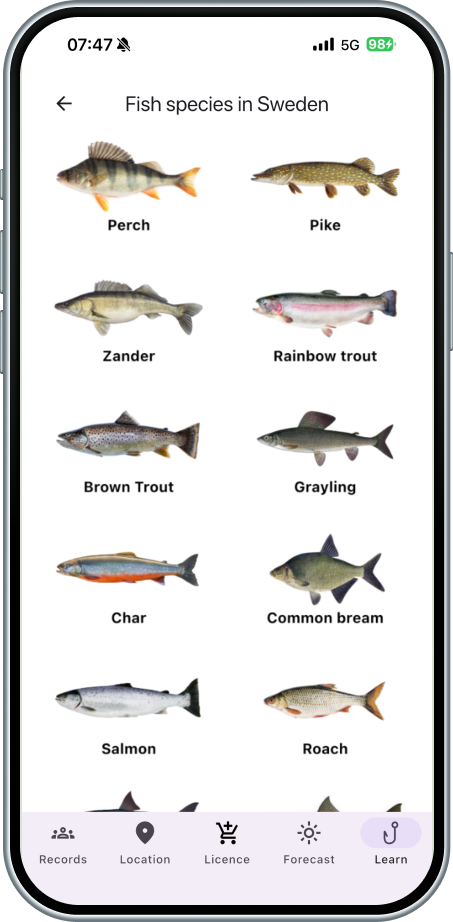 Fish species reference list